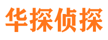 武山市调查公司